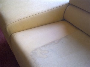 Oživení barev u sedaček je jedním z výsledků čištění.